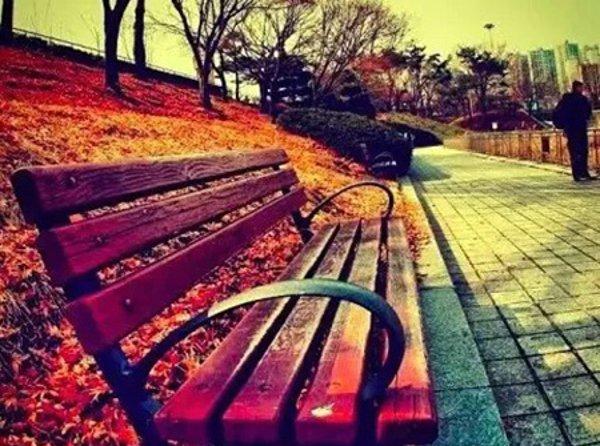 12.球队名称：太阳队口号：我们无处不在。