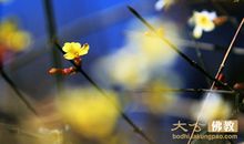 表示诚信的座右铭