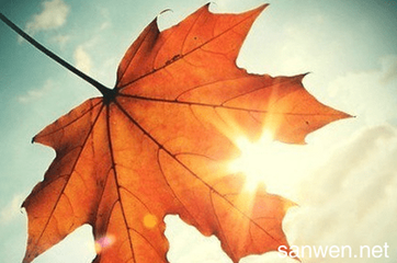 12.秋季皮肤护理：气候越来越冷，空气干燥，因此迫切需要补充水分。调整饮食，多喝白开水，尽量避免油腻煎炸；不要忘记进行体育锻炼以增强皮肤的抗寒能力。愿你秋天美丽！