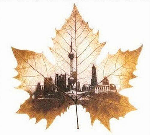 20.知识是年轻人的最高荣誉，老年人的最大舒适感，穷人最宝贵的财产和富人最宝贵的装饰。