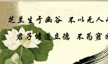 关于淡定的名言