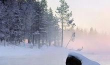 古诗中写雪的句子