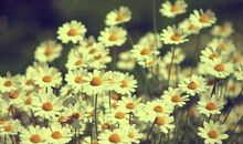 跳完舞蹈后开心的句子