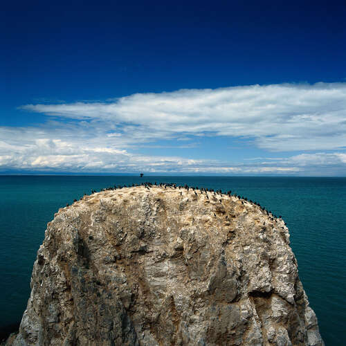 9. ^ o ^温暖的春天的花朵盛开，秋天的空气清新，夏天充满阴影，冬天的李子芬芳，东方的太阳升起，月亮的夜晚明亮，细雨笼罩在阳光明媚的地方，阳光明媚，最适合一年中的美好时光，在这里真诚的祝福：没有苦涩或疲倦，没有休闲和享受，无忧舒适！