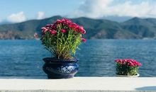 形容心态平静的座右铭