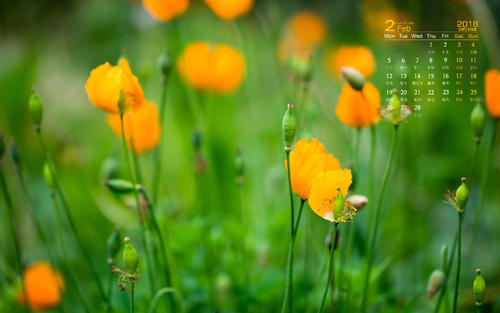 10.时间在流逝，时间在老化。一英寸的时间和一英寸的黄金，珍惜生活中的美好时光，不要为一些琐碎的事情和浪费时间而感到不满。生活五花八门，跌宕起伏，不满意的事情占八十到九分。学会摆脱琐碎的烦恼和悲伤，无聊的对与错，无助的忧郁，嘲笑它，让风过去。放开您的头脑，活出自己，过上乐观的生活，阳光明媚，开朗，极度向上，每天快乐地生活！