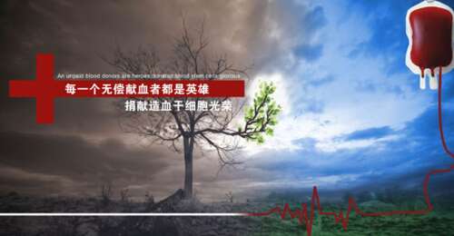 58.努力成为献血志愿者和可爱的襄阳市人