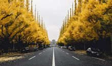 感情和亲情的区别句子