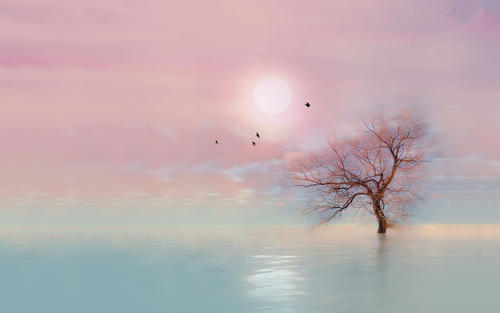 10.“嗯！给你看个美女”“（打开手机上的镜子工具）在这里！”