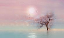 逗女朋友开心的套路句子