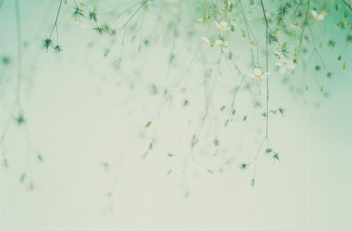 11.“我在这里有爱”“你想知道怎么做”