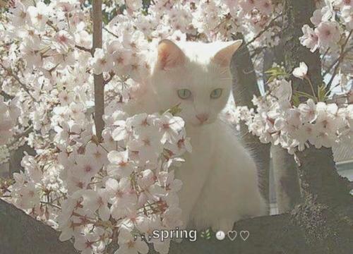 12.幸福根本不符合牛顿的惯性定律。当滑动最平稳时，它总是突然停止。