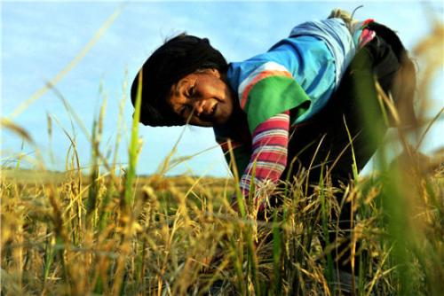 关于农民的名言