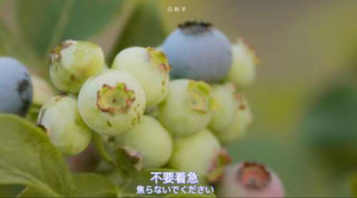 夫妻俩撒狗粮的低调句子，甜蜜的关宣秀，谈恋爱