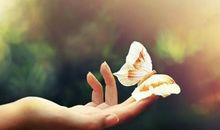 正能量的句子第一期