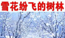 描述雪花的句子