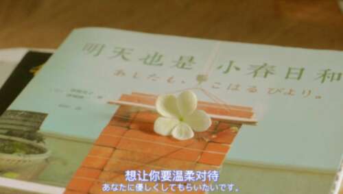 夫妻俩撒狗粮的低调句子，甜蜜的关宣秀的爱情故事3