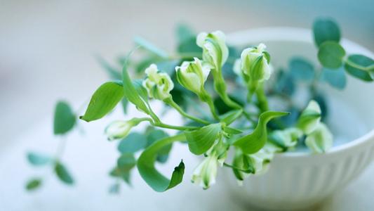 12.命运是聚集，命运和分散的，命运就像水一样，承载着一个地球世界，只有一句话，等待着下一次聚会。