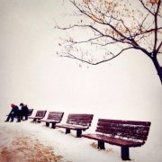 我自己的32个抒情句子