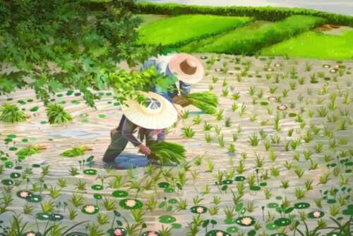 描写芒种节气的优美诗词 关于芒种的手抄报内容