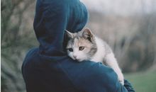 如果活对了，一次也就够了