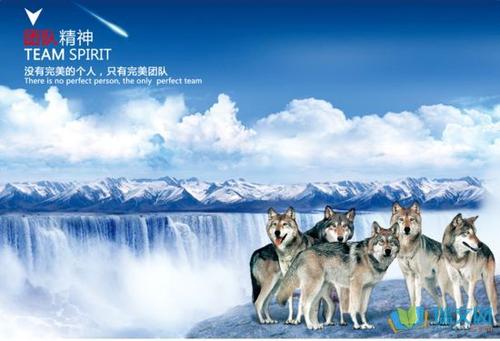 团队正能量行情