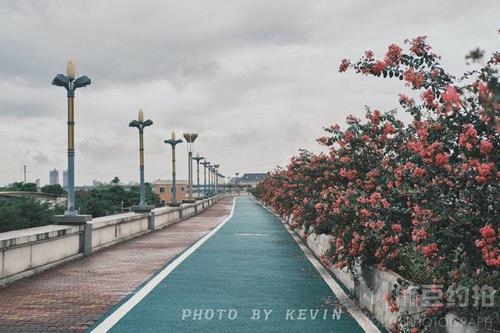 10.幸福在哪里？实际上，幸福就在我们手中。如果努力工作，您将收获一片蓝天。