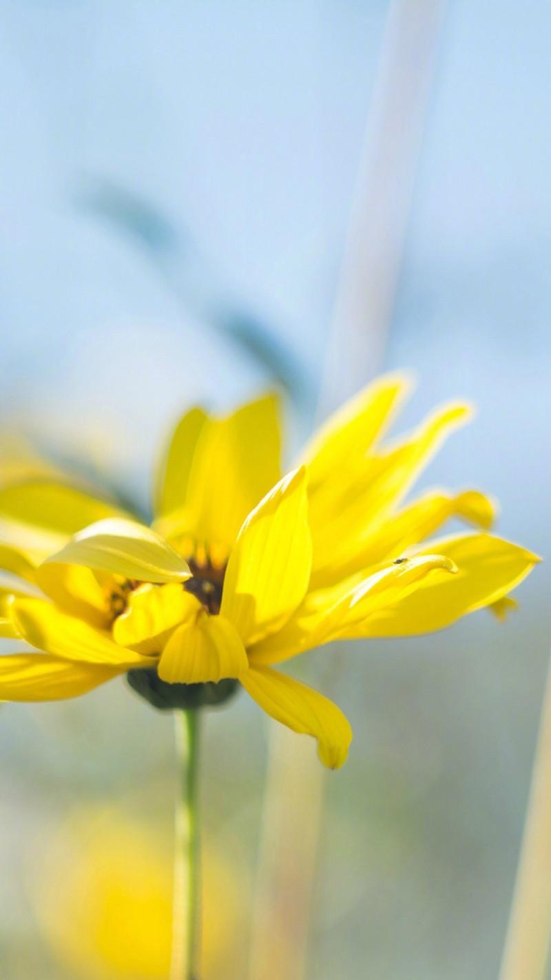 永恒爱情的句子2