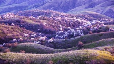 11.夕阳的余辉,映着五彩缤纷的云朵,面对微风,朝着天空,微风,传递着节日的问候,向远方漂去,希望您拥有这美丽,快乐的端午节。