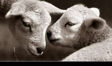 亲情有哲理的句子说说心情短语