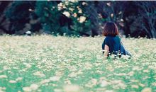 时间在不停的过，有一天你会明白