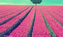 乐观面对生活的名言