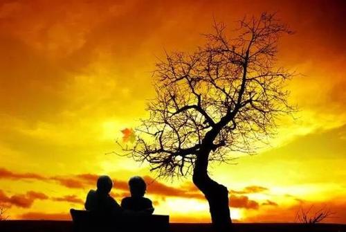 感情错后后悔的句子 2