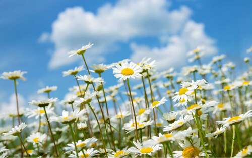 于敏红的十二段关于幸福的鼓舞人心的句子