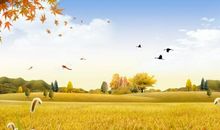 描写秋天的经典句子