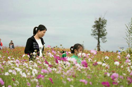 亲情叙事优美句子 2