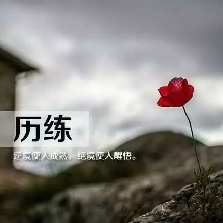 微信励志早安行情