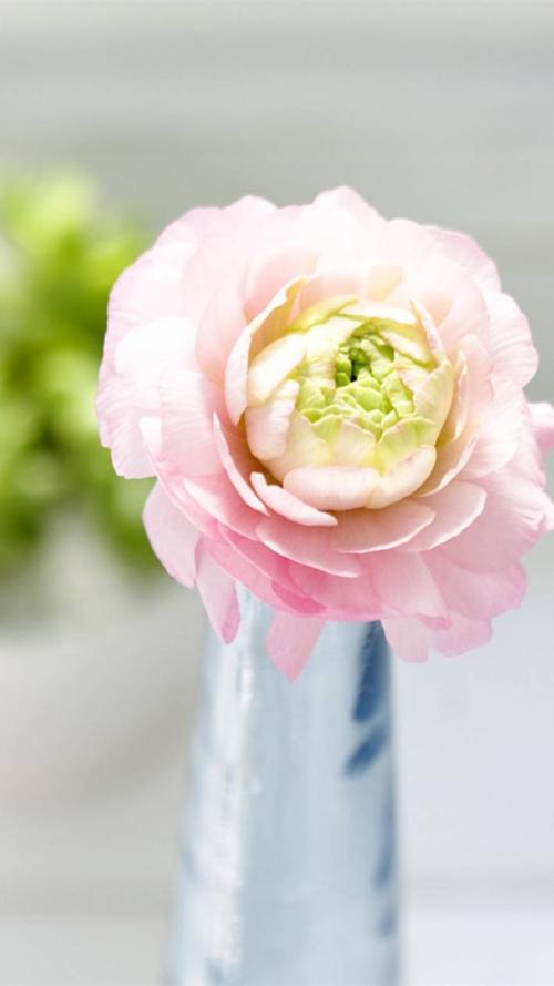 11.亲爱的朋友们，让我们感激不已，并记住我们一生中父母的友善