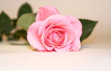 2020年妇女节祝福