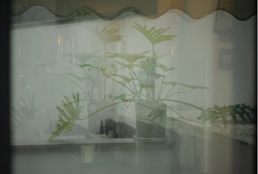 生活不易的经典句子 感叹生活不易的句子 2