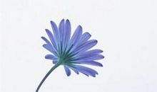 亲情回忆的句子说说心情短语