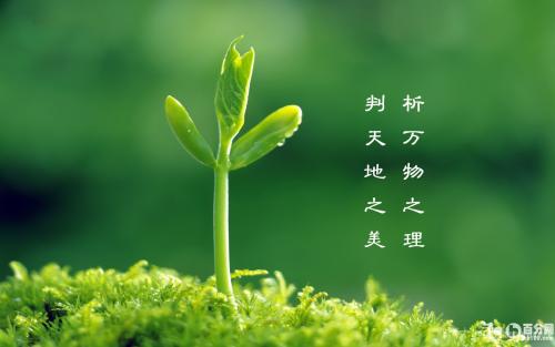 关于人生的名言2