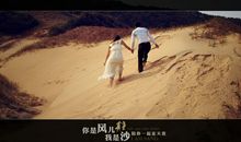 你是风儿我是沙，我TM爱你你爱他