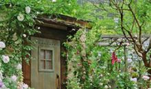 亲情与感情的句子