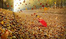 关于秋风的优美句子