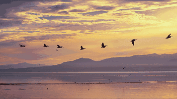 脚踏实地的座右铭1