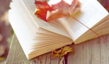 关于最新的优美句子20句