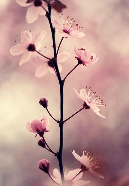 秋风凉爽不愉快的句子2