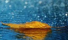 形容心烦经典句子