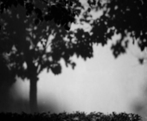 最伤感情语录心痛的句子 2